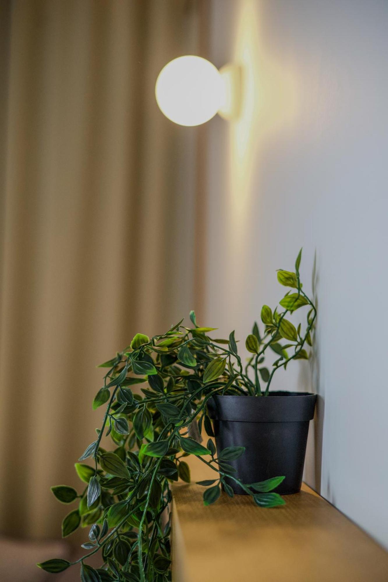 Take Me Here With A Sea View By Salt Apartments Wolos Zewnętrze zdjęcie